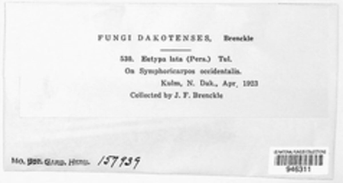 Eutypa lata image
